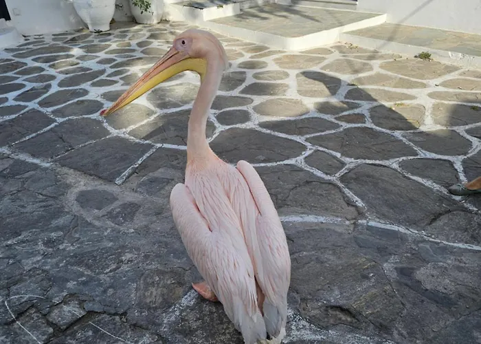 Apartmán Strawberry Mykonos Mykonos Town