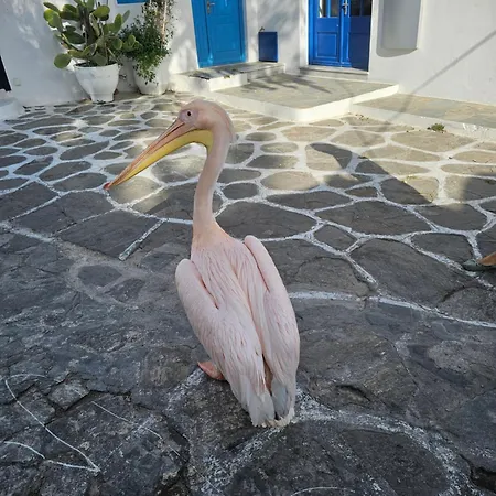 Апартаменты Strawberry Mykonos Mykonos Town